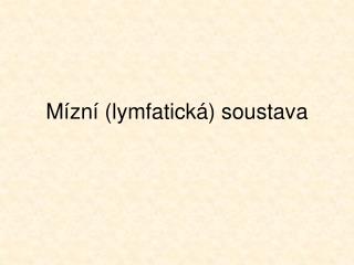 Mízní (lymfatická) soustava