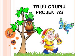 TRIJŲ GRUPIŲ PROJEKTAS