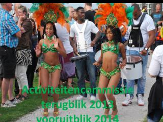 Activiteitencommissie terugblik 2013 vooruitblik 2014