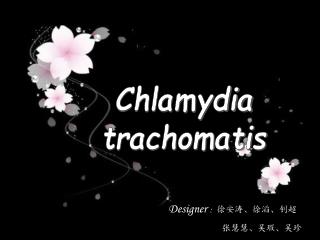 Chlamydia trachomatis