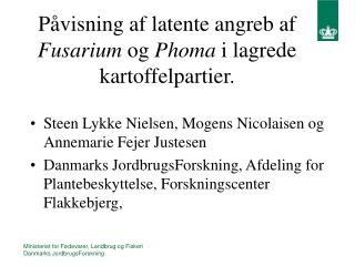 Påvisning af latente angreb af Fusarium og Phoma i lagrede kartoffelpartier.