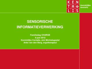 SENSORISCHE INFORMATIEVERWERKING