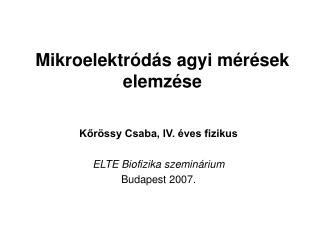 Mikroelektródás agyi mérések elemzése