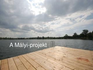 A Mályi-projekt
