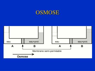 OSMOSE