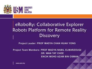 eRoboRy: Collaborative Explorer Robots Platform for Remote Reality Discovery