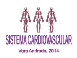 SISTEMA CARDIOVASCULAR