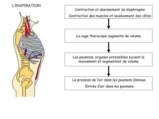 L’INSPIRATION