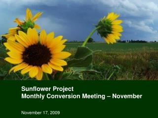 Sunflower Project Monthly Conversion Meeting – November