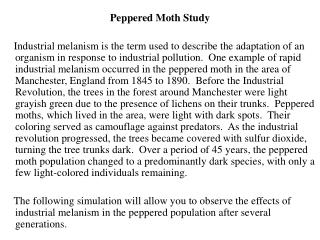 Peppered Moth Study