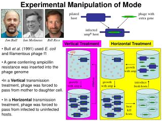 Experimental Manipulation of Mode