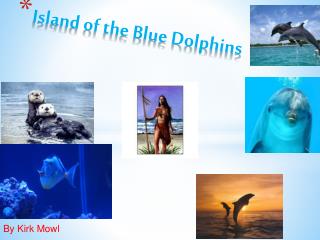 Island of the Blue Dolphins