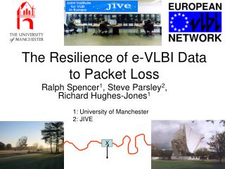 The Resilience of e-VLBI Data to Packet Loss