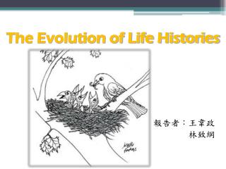 The Evolution of Life Histories