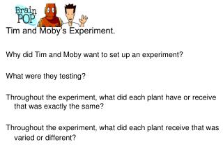 Tim and Moby’s Experiment. Why did Tim and Moby want to set up an experiment?