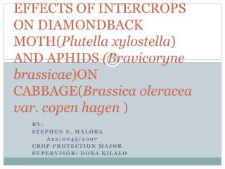 BY: STEPHEN E. MALOBA A22/0043/2007 CROP PROTECTION MAJOR SUPERVISOR: DORA KILALO