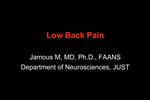 Low Back Pain Jamous M, MD, Ph.D., FAANS Department of Neurosciences, JUST