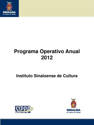 Programa Operativo Anual 2012