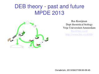 DEB theory - past and future MPDE 2013