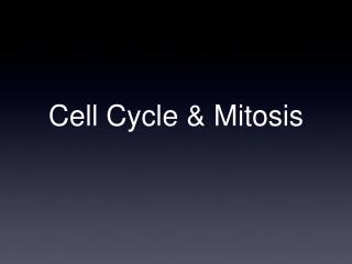 Cell Cycle &amp; Mitosis