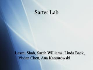 Sarter Lab