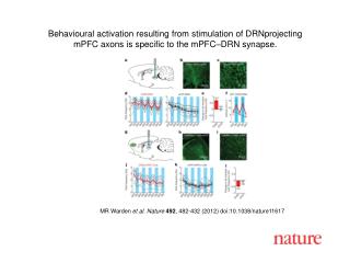 MR Warden et al. Nature 492 , 482-432 (2012) doi:10.1038/nature11617