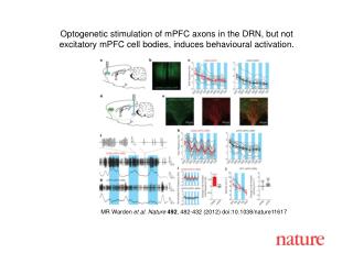 MR Warden et al. Nature 492 , 482-432 (2012) doi:10.1038/nature11617