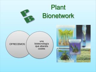 Plant Bionetwork