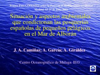 J. A. Camiñas; A. García; A. Giráldez Centro Oceanográfico de Málaga. IEO