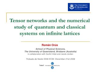 Tensor networks and the numerical study of quantum and classical systems on infinite lattices