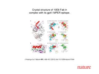 J Huang et al. Nature 491 , 406-412 (2012) doi:10.1038/nature11544