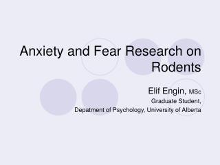 Anxiety and Fear Research on Rodents