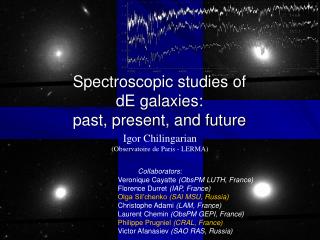 Spectroscopic studies of dE galaxies: past, present, and future