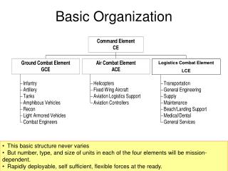 Basic Organization