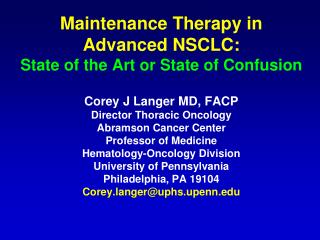 Maintenance Therapy in Advanced NSCLC: State of the Art or State of Confusion