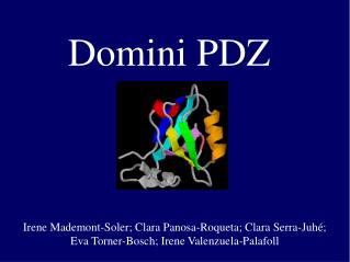 Domini PDZ