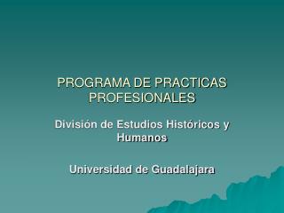 PROGRAMA DE PRACTICAS PROFESIONALES