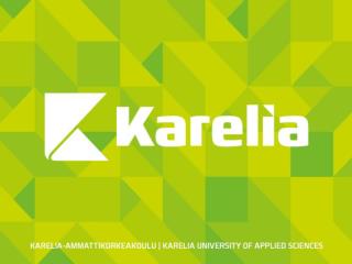 Karelia-amk kehittämisraportti 20.3.2014