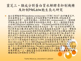 靈芝三類成分對蛋白質水解酵素抑制機轉及抑制 HeLa 細胞生長之研究