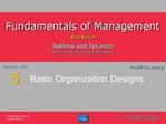 Basic Organization Designs