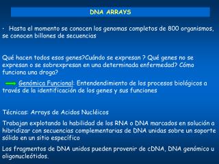 DNA ARRAYS