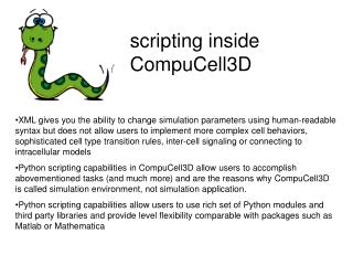 scripting inside CompuCell3D