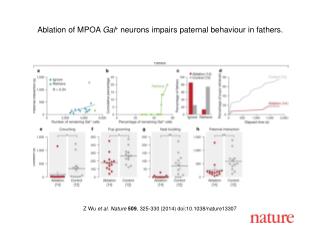 Z Wu et al. Nature 509 , 325-330 (2014) doi:10.1038/nature13307