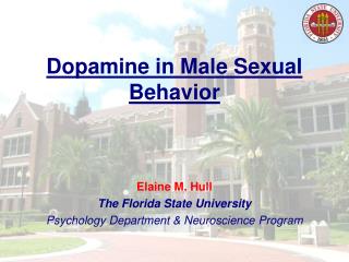 Dopamine in Male Sexual Behavior