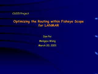 Optimizing the Routing within Fisheye Scope for LANMAR