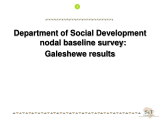 Department of Social Development nodal baseline survey: Galeshewe results