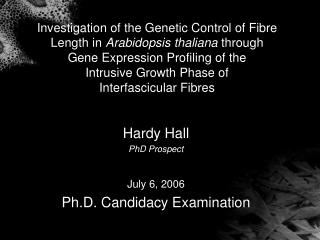 Hardy Hall PhD Prospect July 6, 2006 Ph.D. Candidacy Examination