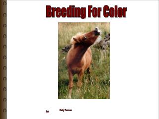 Breeding For Color