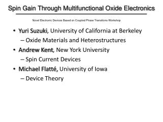 Spin Gain Through Multifunctional Oxide Electronics