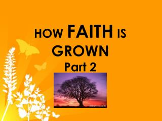 HOW FAITH IS GROWN Part 2
